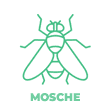 mosche.fw