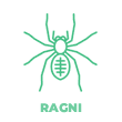 ragni.fw