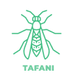 tafani.fw